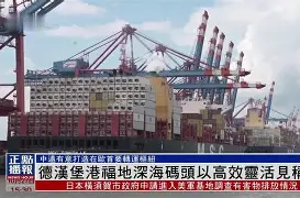 汉堡引援